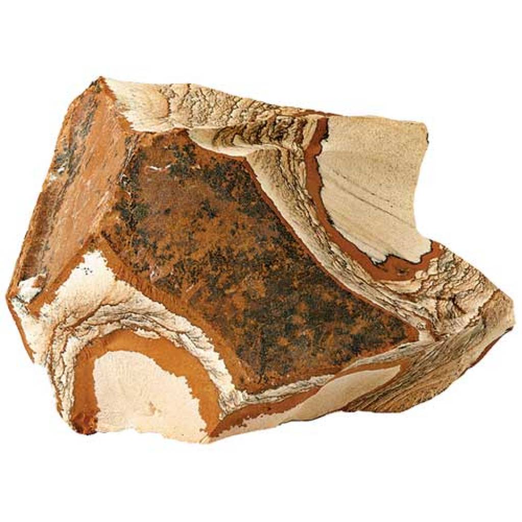 Picture Jasper 4 St., im Netz